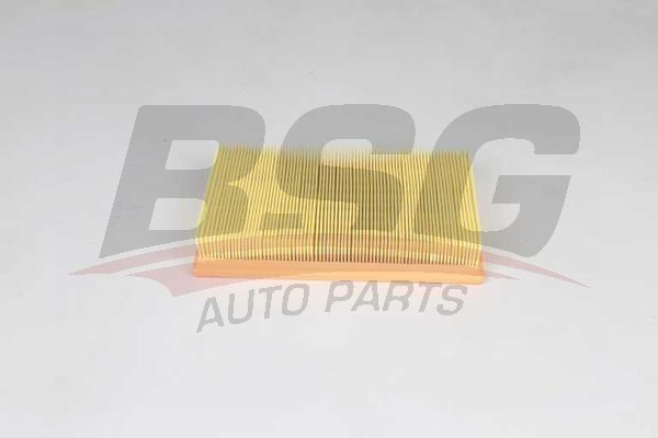 BSG 30135037 Hava Filtresi