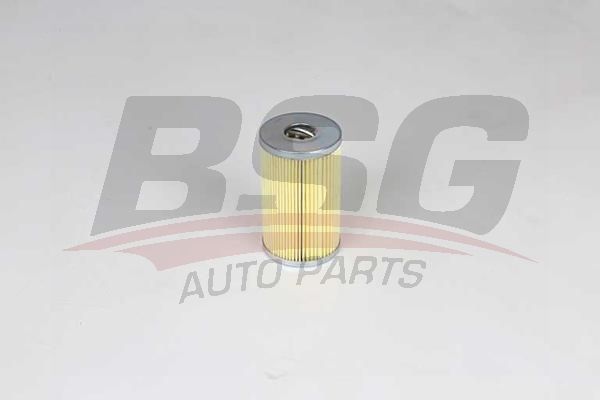BSG 60140014 Yağ Filtresi