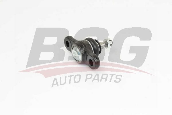 BSG 40310059 Rotil Alt