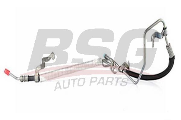 BSG 30725064 Direksiyon Hortumu