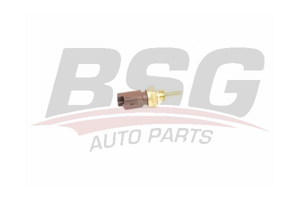 BSG 25840011 Hararet Müşürü