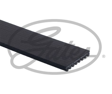 GATES 8PK2093 V Kayışı - . Görsel