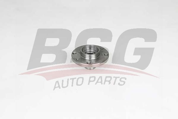 BSG 25600007 Porya Ön - . Görsel