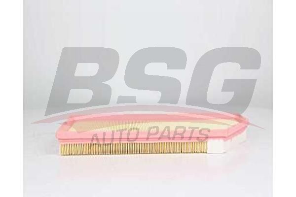 BSG 60135026 Hava Filtresi
