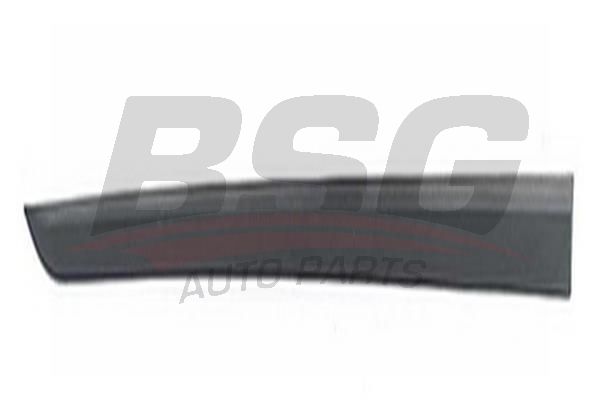 BSG 65925041 Kapı Bandı Ön Sağ