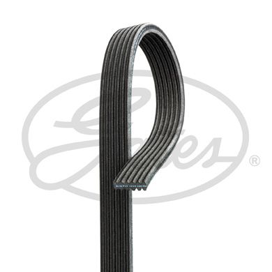 DAYCO 6DPK1195 V Kayışı