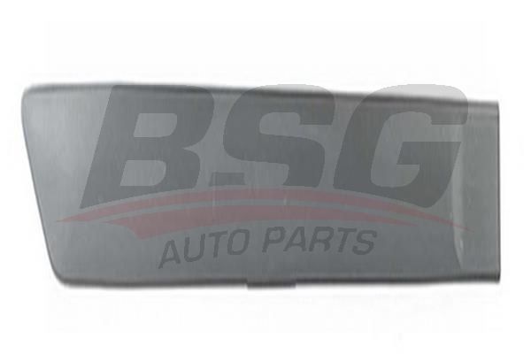 BSG 30924025 Kapı Bandı Arka Sağ