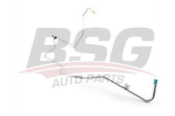 BSG 30725046 Direksiyon Hortumu