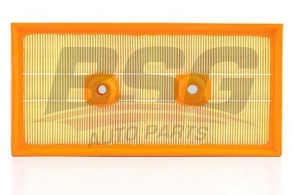 BSG 90135013 Hava Filtresi - . Görsel