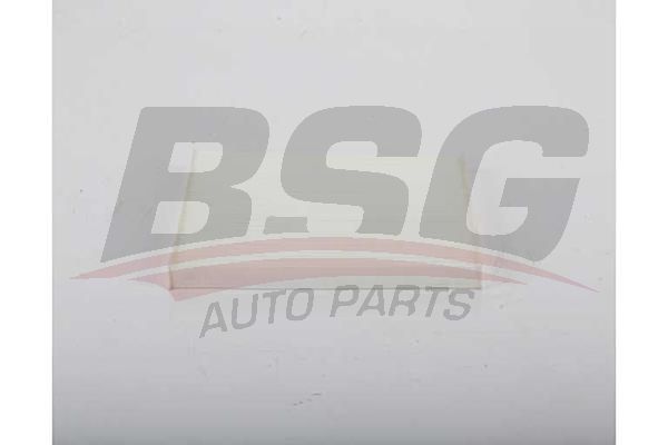 BSG 40145023 Polen Filtresi