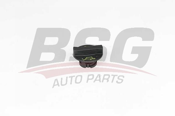 BSG 30700502 Motor Yağ Kapağı