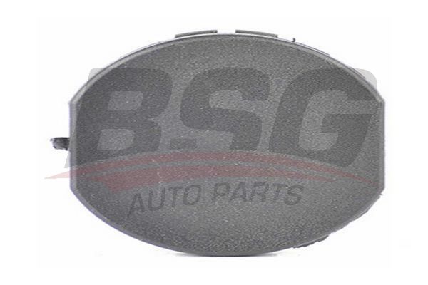 BSG 90995017 Motor Muhafaza Kapak Tapası