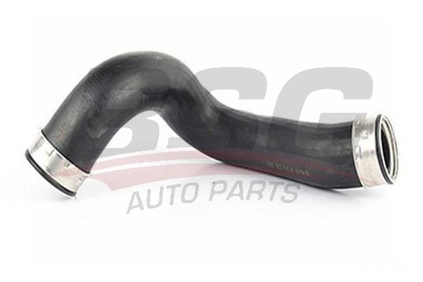 BSG 60720039 Turbo Hortumu