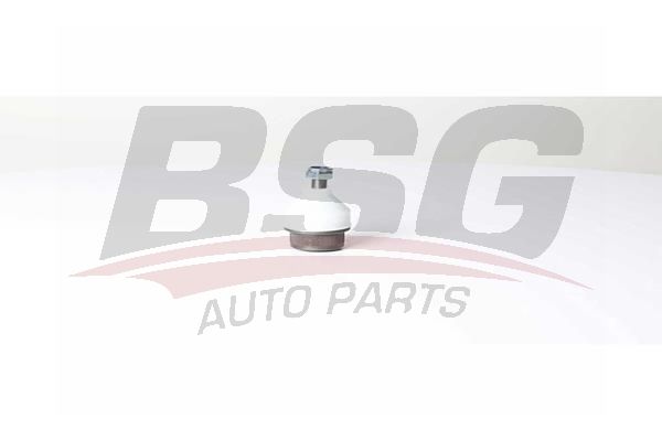 BSG 75310040 Rotil Alt