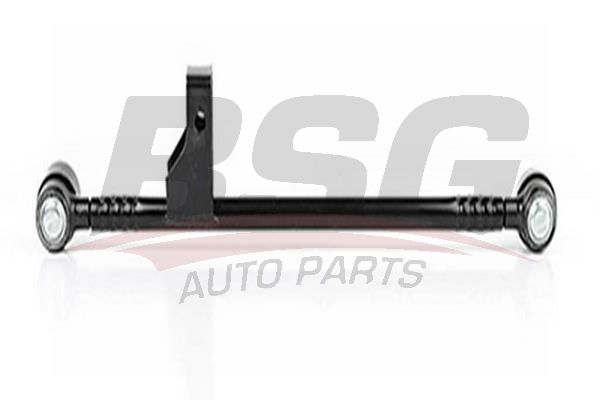 BSG 60310066 Rot Orta