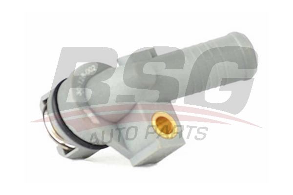 BSG 30126002 Yağ Soğutucusu Termostat - . Görsel