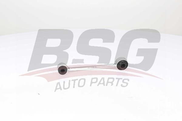 BSG 65310106 Viraj Askı Rotu Arka Sol