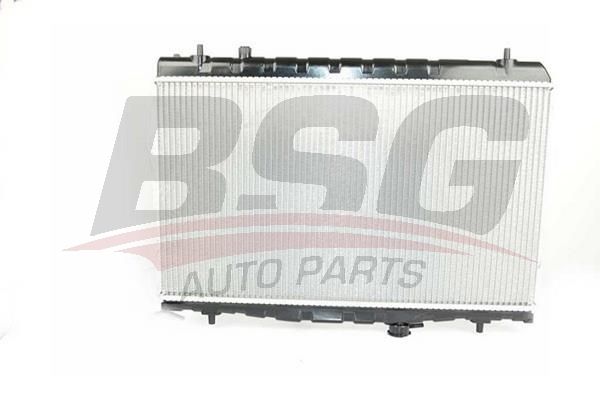 BSG 40520038 Su Radyatörü