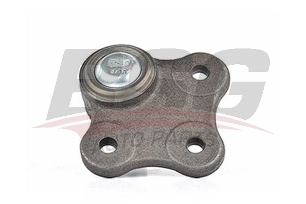 BSG 25310024 Rotil Alt