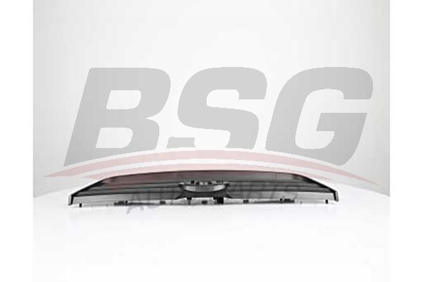 BSG 30927022 Ön Panjur