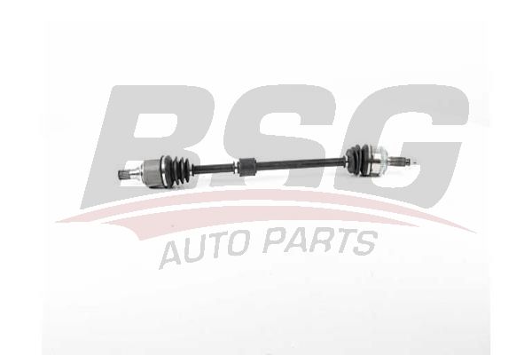 BSG 40350024 Aks Komple Ön Sağ - . Görsel
