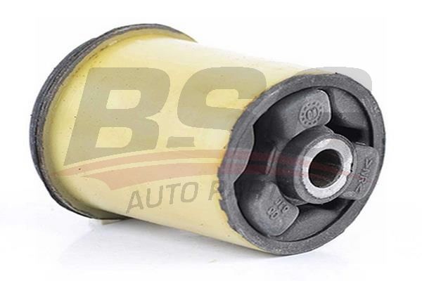 BSG 65700077 Dingil Burcu Arka