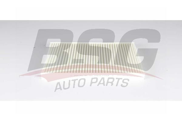 BSG 90145021 Polen Filtresi - 1. Görsel