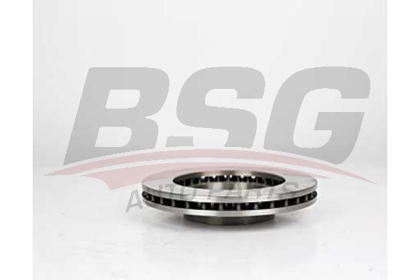 BSG 75210001 Fren Diski Ön