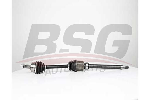 BSG 25350001 Aks Komple Ön Sağ