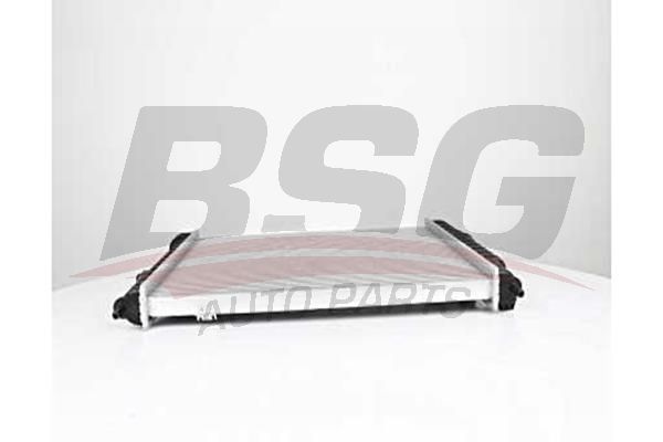 BSG 65520026 Su Radyatörü