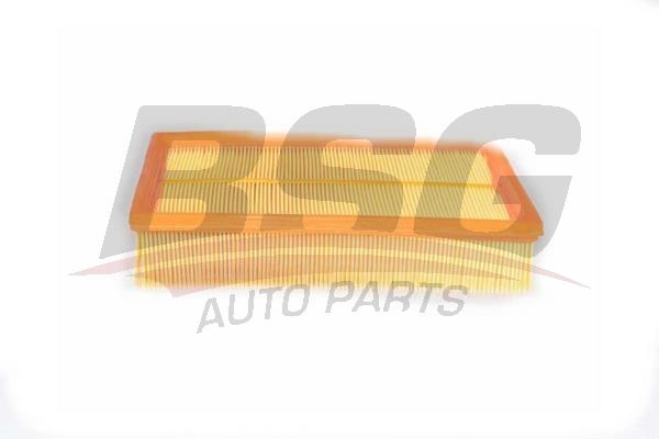 BSG 75135004 Hava Filtresi