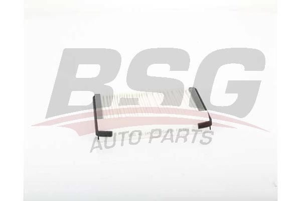 BSG 40145003 Polen Filtresi