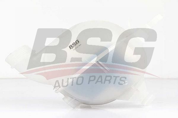BSG 70550008 Radyatör Yedek Su Deposu