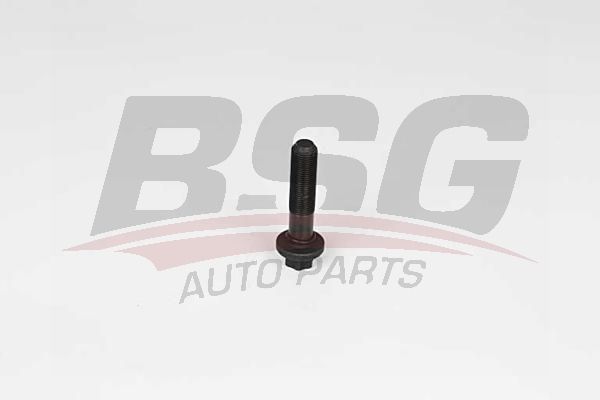 BSG 25103001 Krank Kasnak Civatası