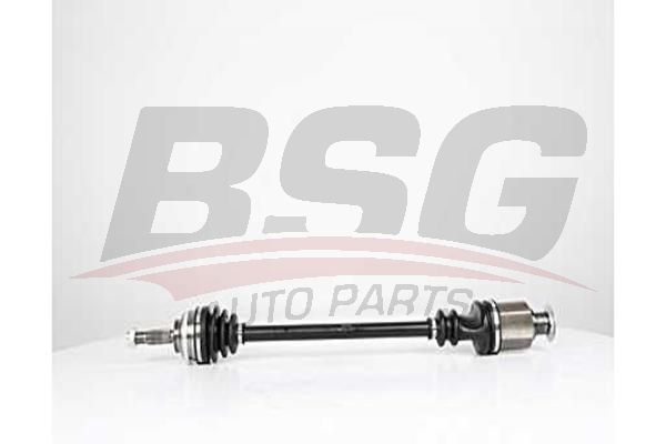 BSG 75350027 Aks Komple Ön Sağ - . Görsel