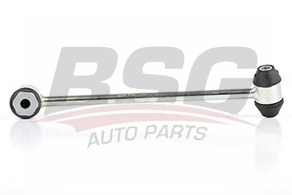 BSG 60310193 Viraj Askı Rotu Arka Sol