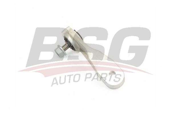 BSG 60310232 Viraj Askı Rotu Ön Sol