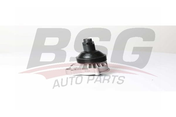 BSG 15500019 Devirdaim - . Görsel