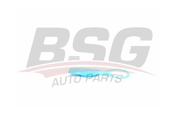 BSG 90922006 Silecek Su Depo Kapağı