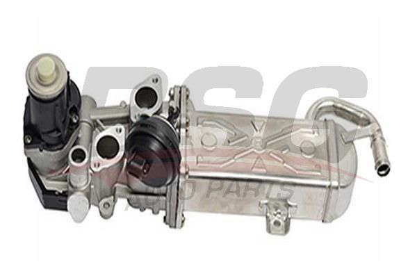 BSG 90836011 Egr Valfi - 1. Görsel