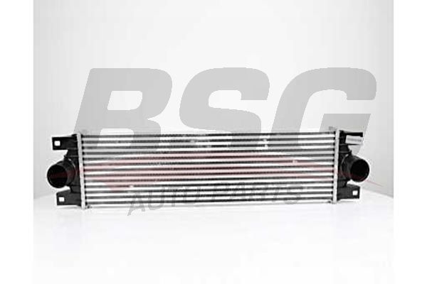 BSG 75535002 Turbo Radyatörü