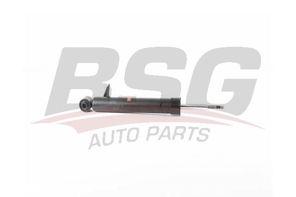 BSG 15300040 Amortisör Arka Sağ