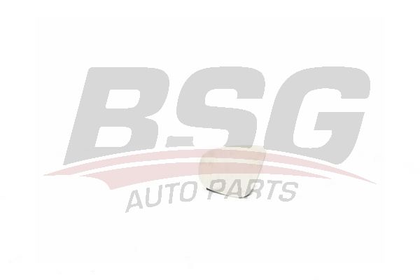 BSG 90910042 Ayna Camı Sol
