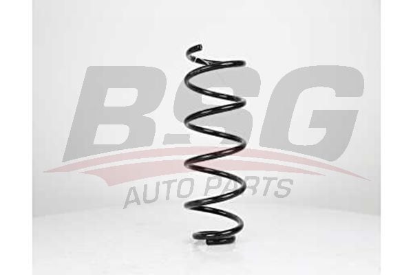 BSG 90305009 Helezon Yayı Ön