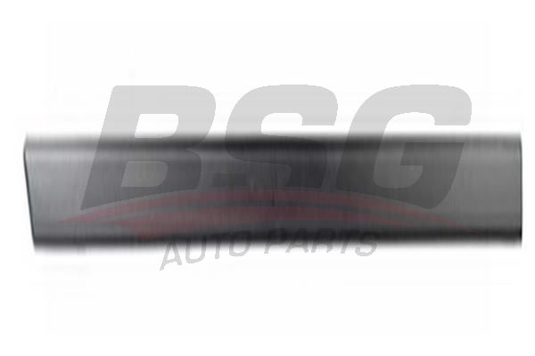 BSG 30924016 Kapı Bandı Ön Sol