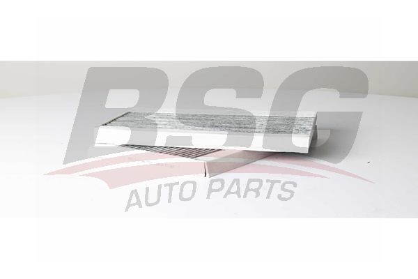 BSG 60145030 Polen Filtresi