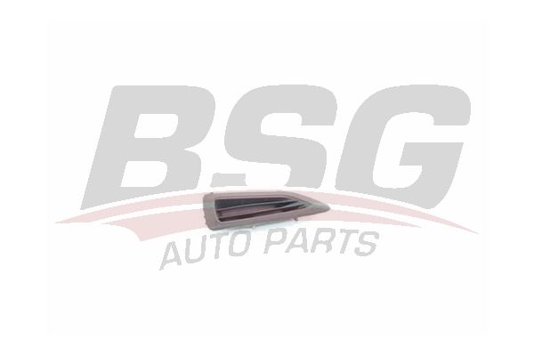 BSG 30922152 Ön Kapı Yan Buz Çözücü Izgara Sağ
