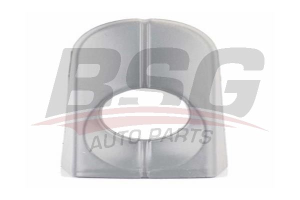BSG 30970058 Kapı Dış Açma Kolu