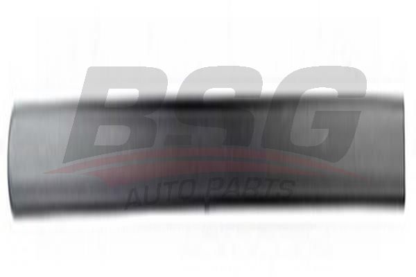 BSG 30924031 Kapı Bandı Ön Sağ