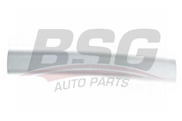 BSG 30924046 Kapı Bandı Ön Sağ
